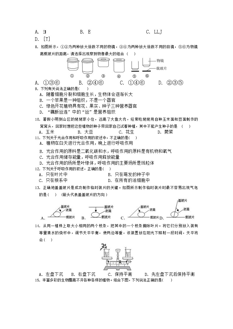 四川省内江市第一中学2023-2024学年七年级上学期期中考试生物试题03