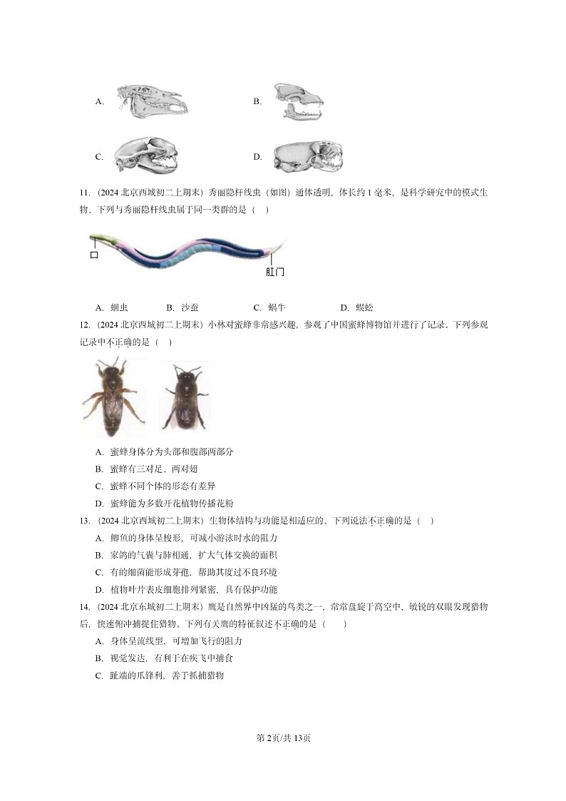 [生物]2024北京重点校初二上学期期末真题分类汇编：动物的主要类群章节综合第2页