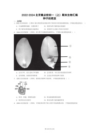 [生物]2022～2024北京重点校初一上学期期末真题分类汇编：种子的萌发