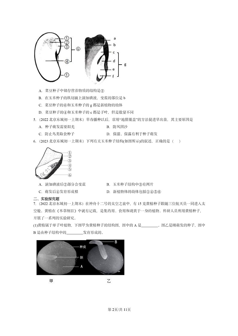 [生物]2022～2024北京重点校初一上学期期末真题分类汇编：种子的萌发第2页