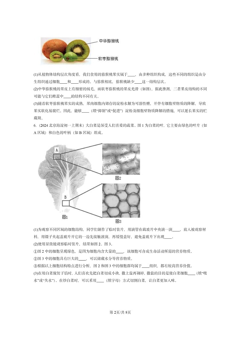 [生物]2024北京重点校初一上学期期末真题分类汇编：被子植物的一生章节综合第2页