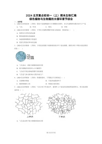 [生物]2024北京重点校初一上学期期末真题分类汇编：绿色植物与圈的水循环章节综合