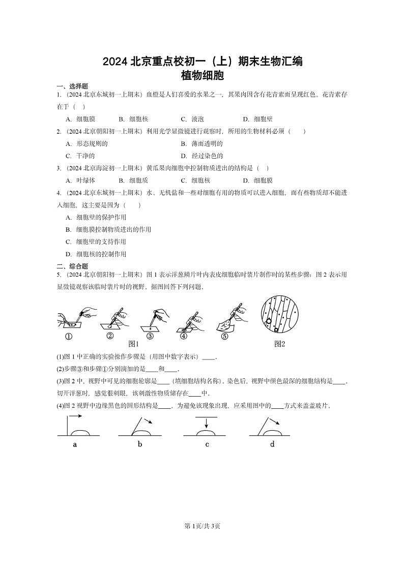 [生物]2024北京重点校初一上学期期末真题分类汇编：植物细胞第1页