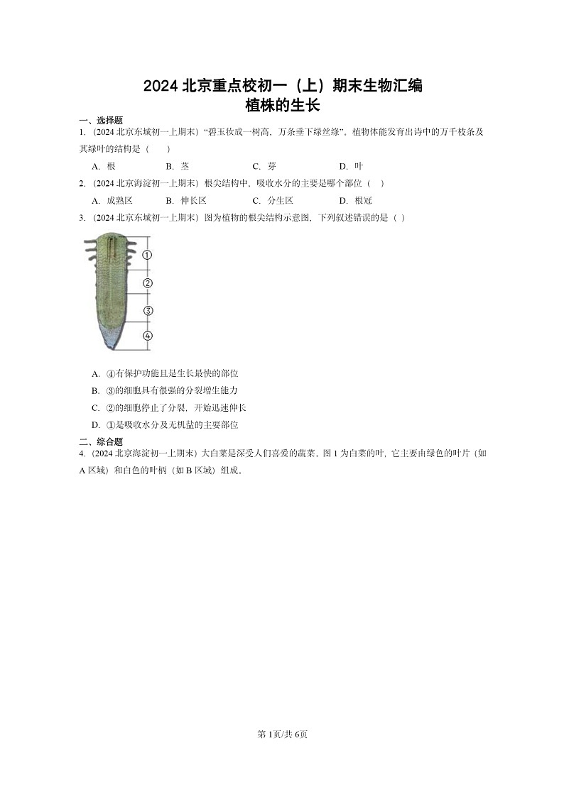 [生物]2024北京重点校初一上学期期末真题分类汇编：植株的生长第1页