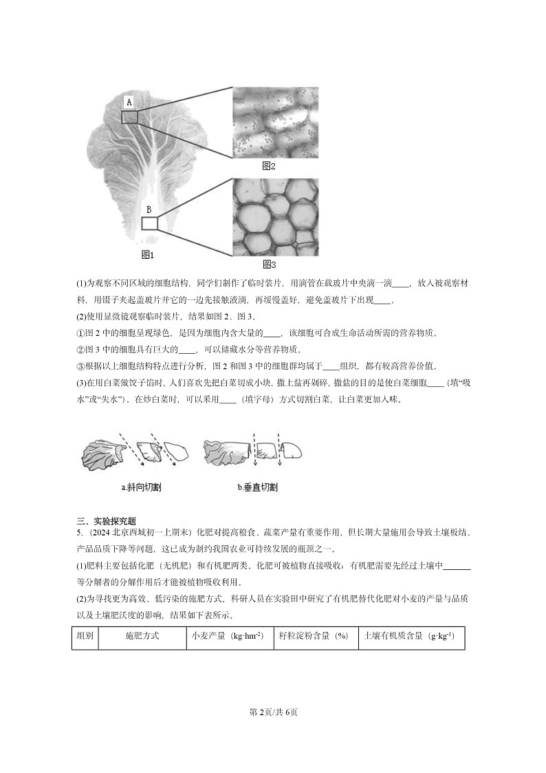 [生物]2024北京重点校初一上学期期末真题分类汇编：植株的生长第2页