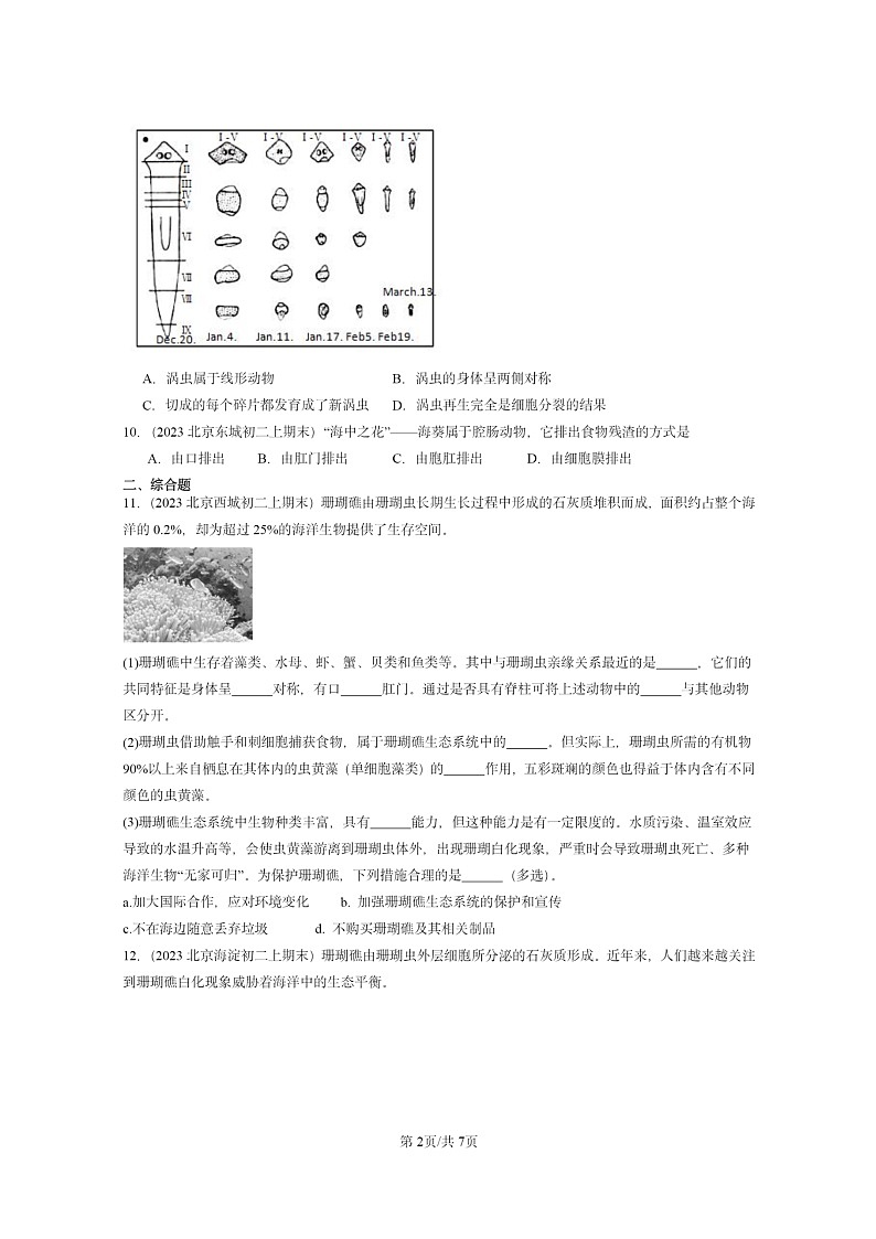 [生物]2022～2024北京重点校初二上学期期末真题分类汇编：腔肠动物和扁形动物第2页