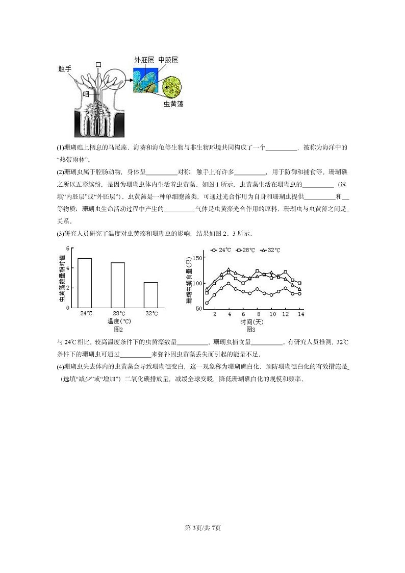 [生物]2022～2024北京重点校初二上学期期末真题分类汇编：腔肠动物和扁形动物第3页