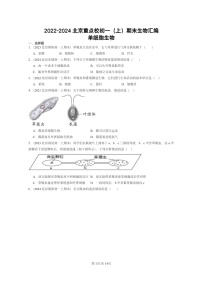 [生物]2022～2024北京重点校初一上学期期末真题分类汇编：单细胞