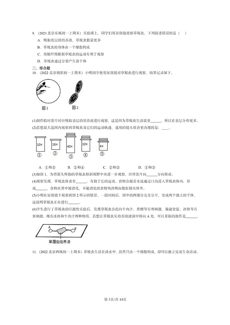[生物]2022～2024北京重点校初一上学期期末真题分类汇编：单细胞第3页