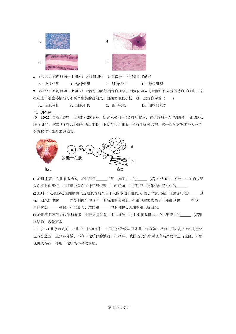 [生物]2022～2024北京重点校初一上学期期末真题分类汇编：动物体的结构层次第2页