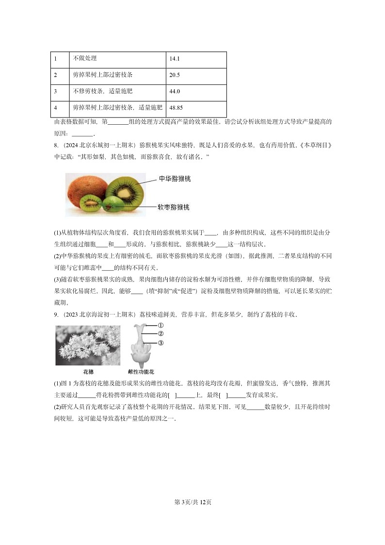[生物]2022～2024北京重点校初一上学期期末真题分类汇编：开花和结果第3页