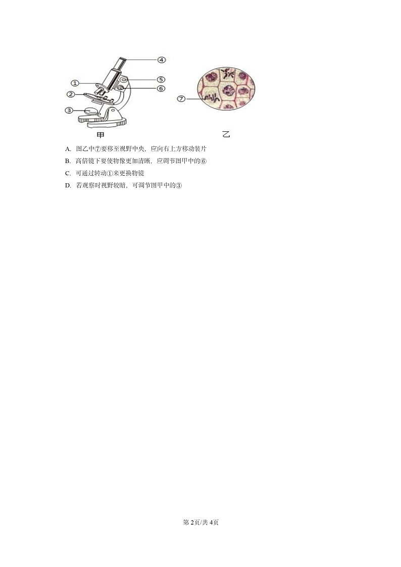 [生物]2022～2024北京重点校初一上学期期末真题分类汇编：练习使用显微镜第2页
