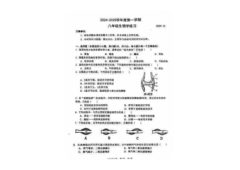 辽宁省大连市瓦房店市2024-2025学年八年级上学期10月份练习生物试卷01