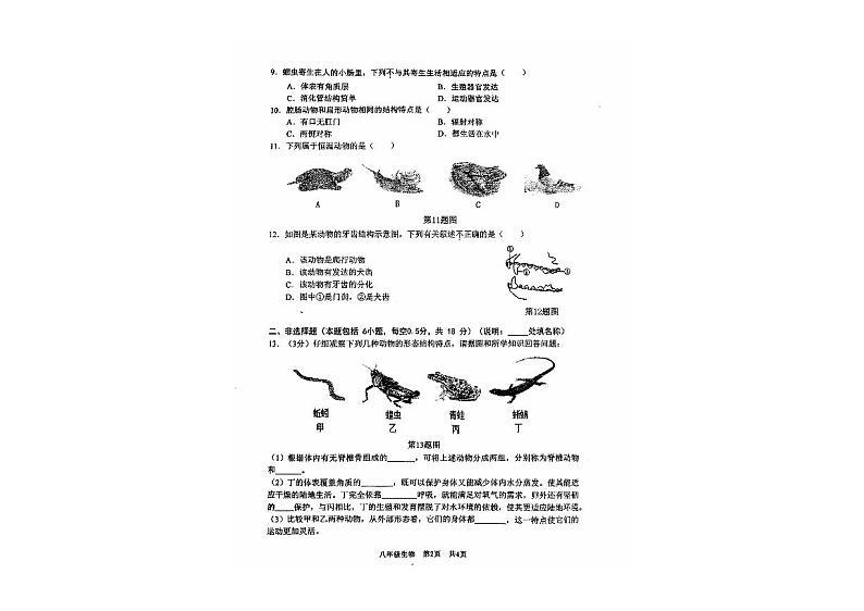 辽宁省大连市瓦房店市2024-2025学年八年级上学期10月份练习生物试卷02