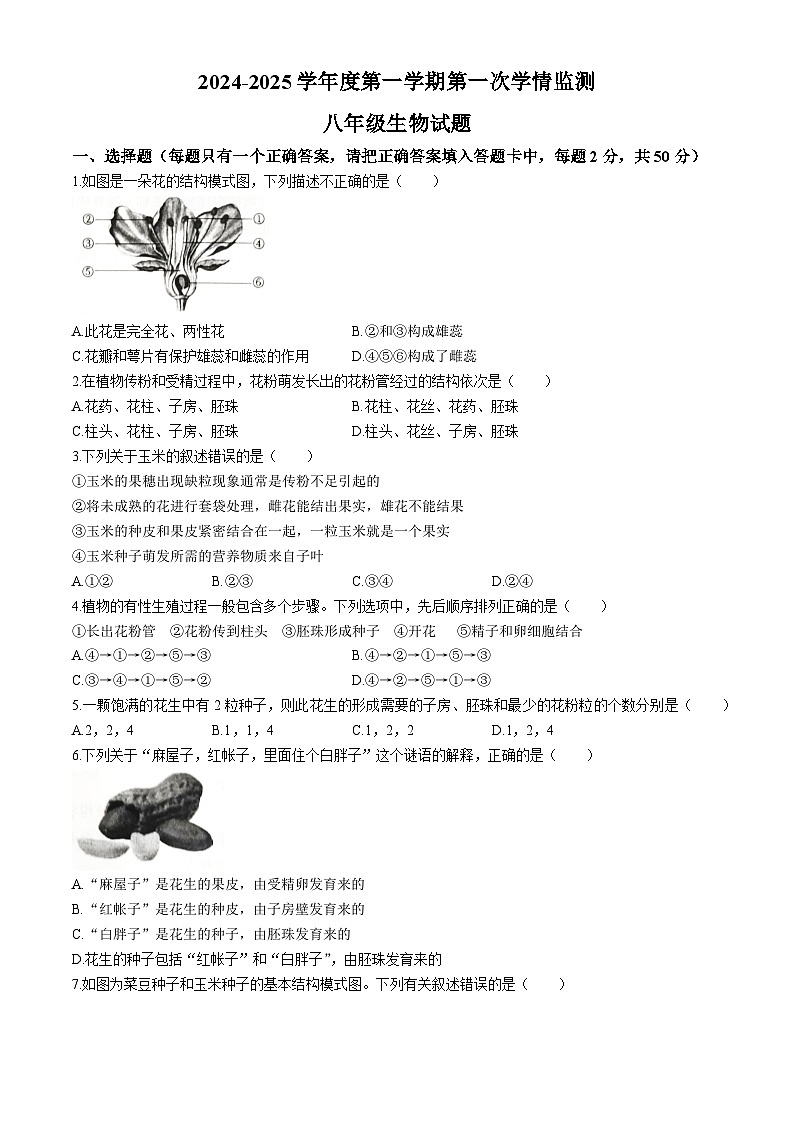 山东省济宁市金乡县2024-2025学年八年级上学期10月份月考生物试题(无答案)第1页