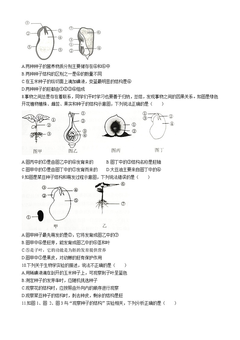 山东省济宁市金乡县2024-2025学年八年级上学期10月份月考生物试题(无答案)第2页