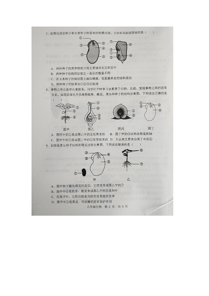 山东省济宁市金乡县2024-2025学年八年级上学期10月份月考生物试题第2页