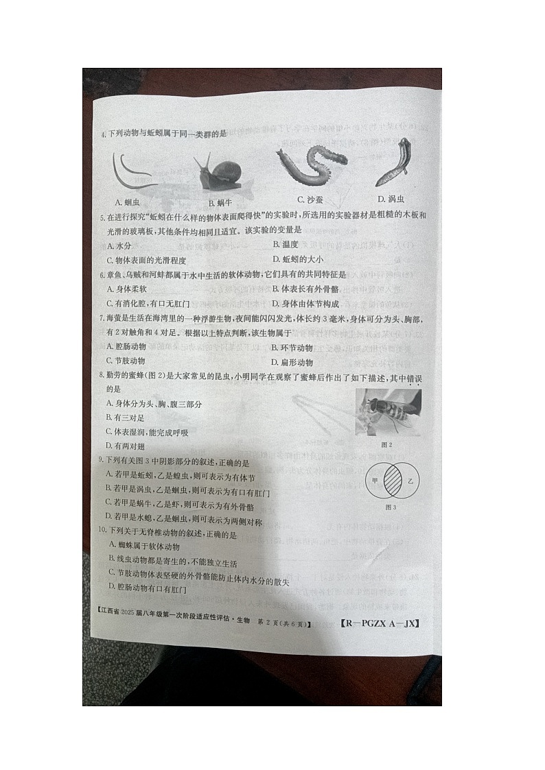 江西省九江市柴桑区五校联考2024-2025学年八年级上学期10月月考生物试题第2页