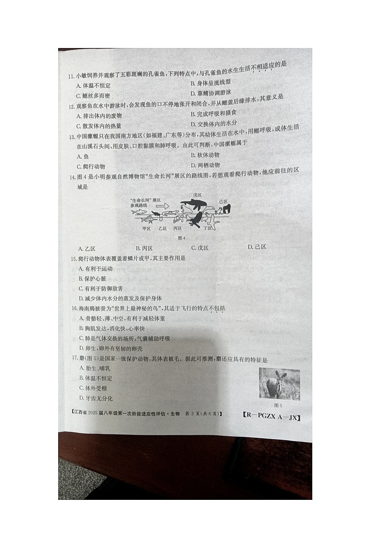 江西省九江市柴桑区五校联考2024-2025学年八年级上学期10月月考生物试题第3页