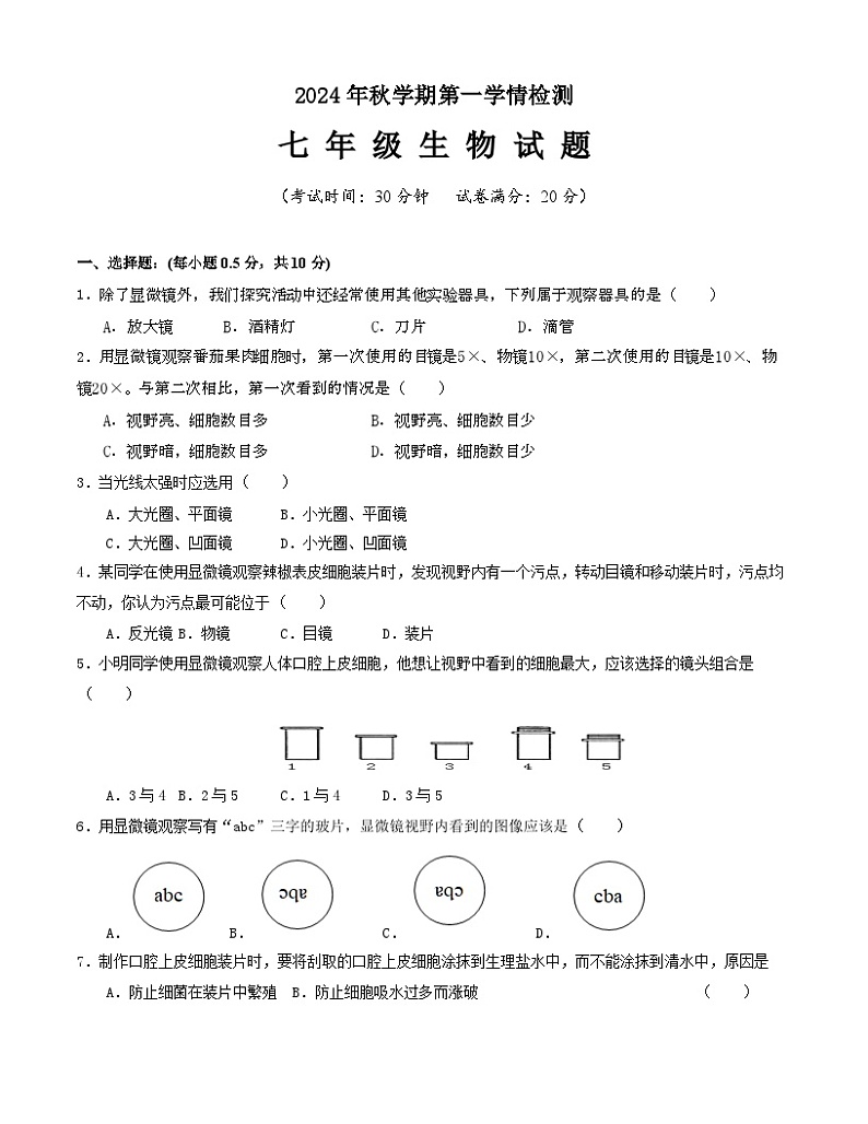 江苏省盐城市大丰区飞达路初级中学2024-2025学年七年级上学期10月月考生物试题第1页