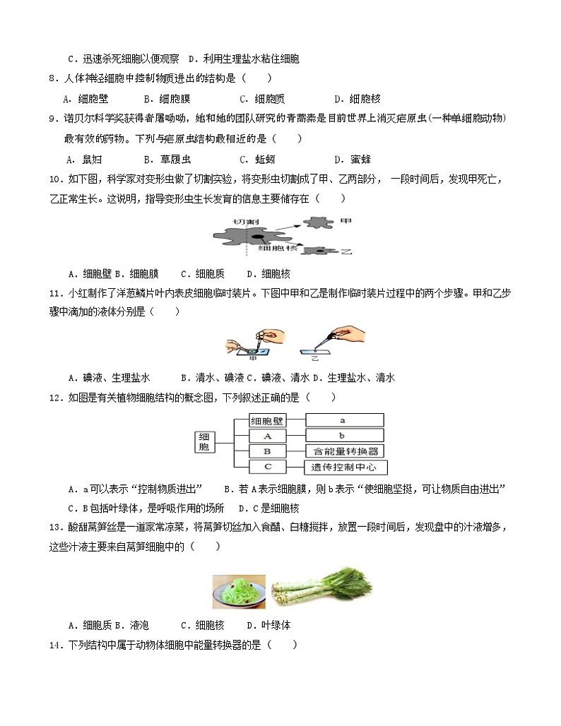 江苏省盐城市大丰区飞达路初级中学2024-2025学年七年级上学期10月月考生物试题第2页