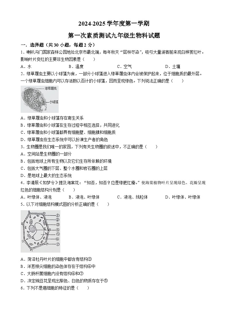 广东揭阳揭东区两校2024-2025学年九年级上学期第一次月考生物试题(无答案)01