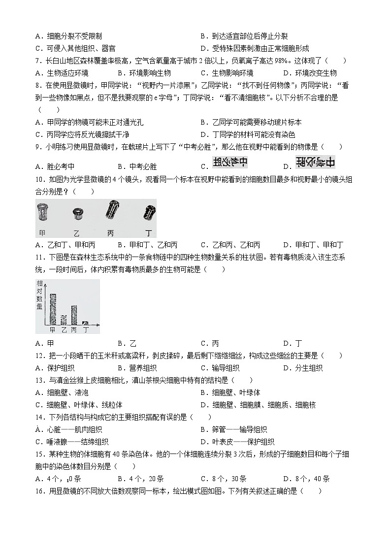 广东揭阳揭东区两校2024-2025学年九年级上学期第一次月考生物试题(无答案)02