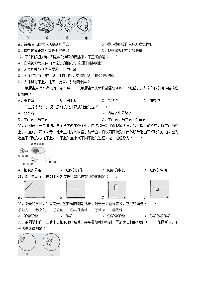 广东揭阳揭东区两校2024-2025学年九年级上学期第一次月考生物试题(无答案)03