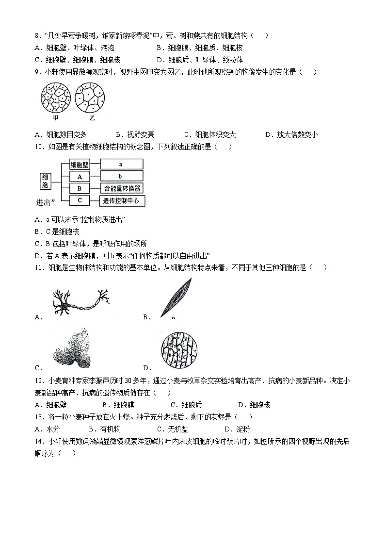 山东省临沂市临沭县第二初级中学2024-2025学年七年级上学期10月月考生物试题(无答案)02