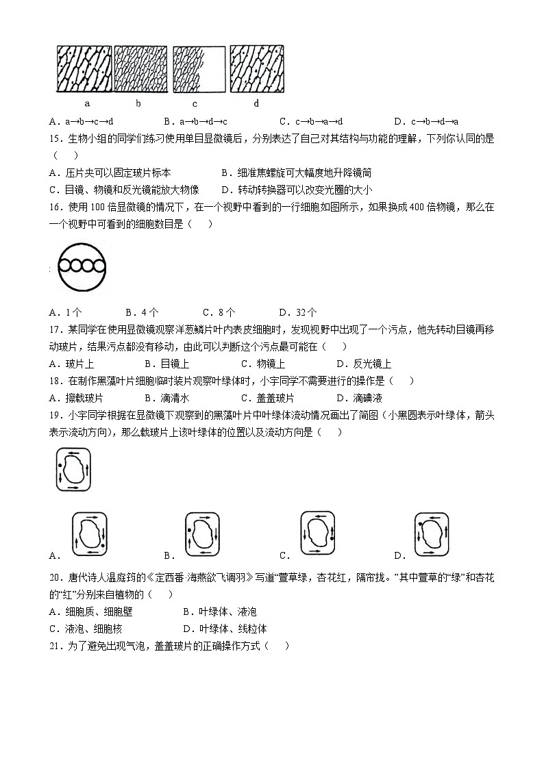 山东省临沂市临沭县第二初级中学2024-2025学年七年级上学期10月月考生物试题(无答案)03