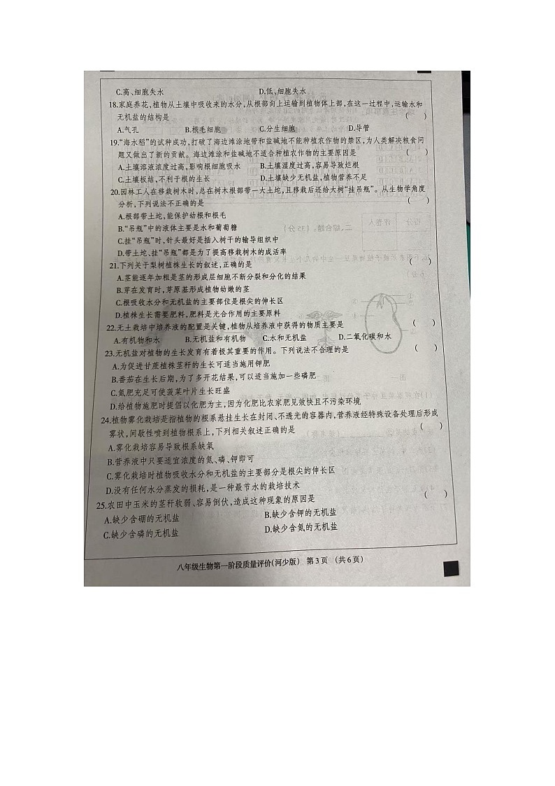 河北省沧州市东光县五校联考2024-2025学年八年级上学期10月月考生物试题第3页