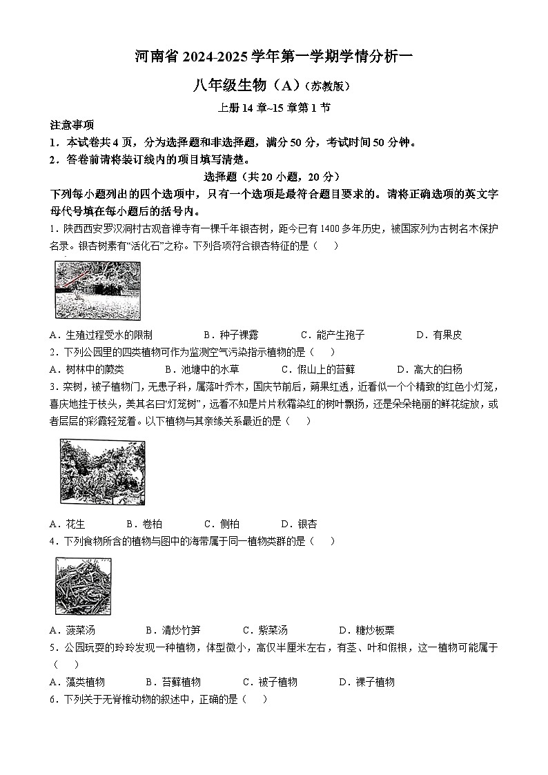 河南省方城县2024-2025学年八年级上学期第一次月考生物试题(无答案)第1页