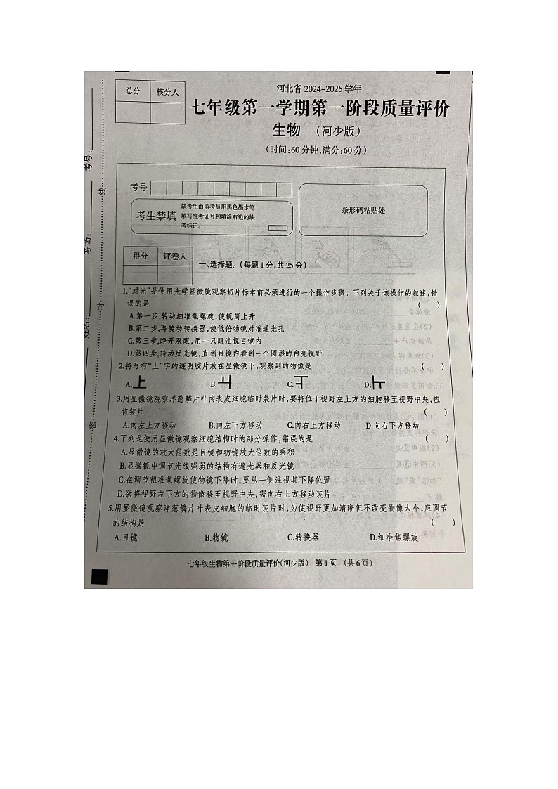 河北省沧州市东光县五校联考2024-2025学年七年级上学期10月月考生物试题第1页