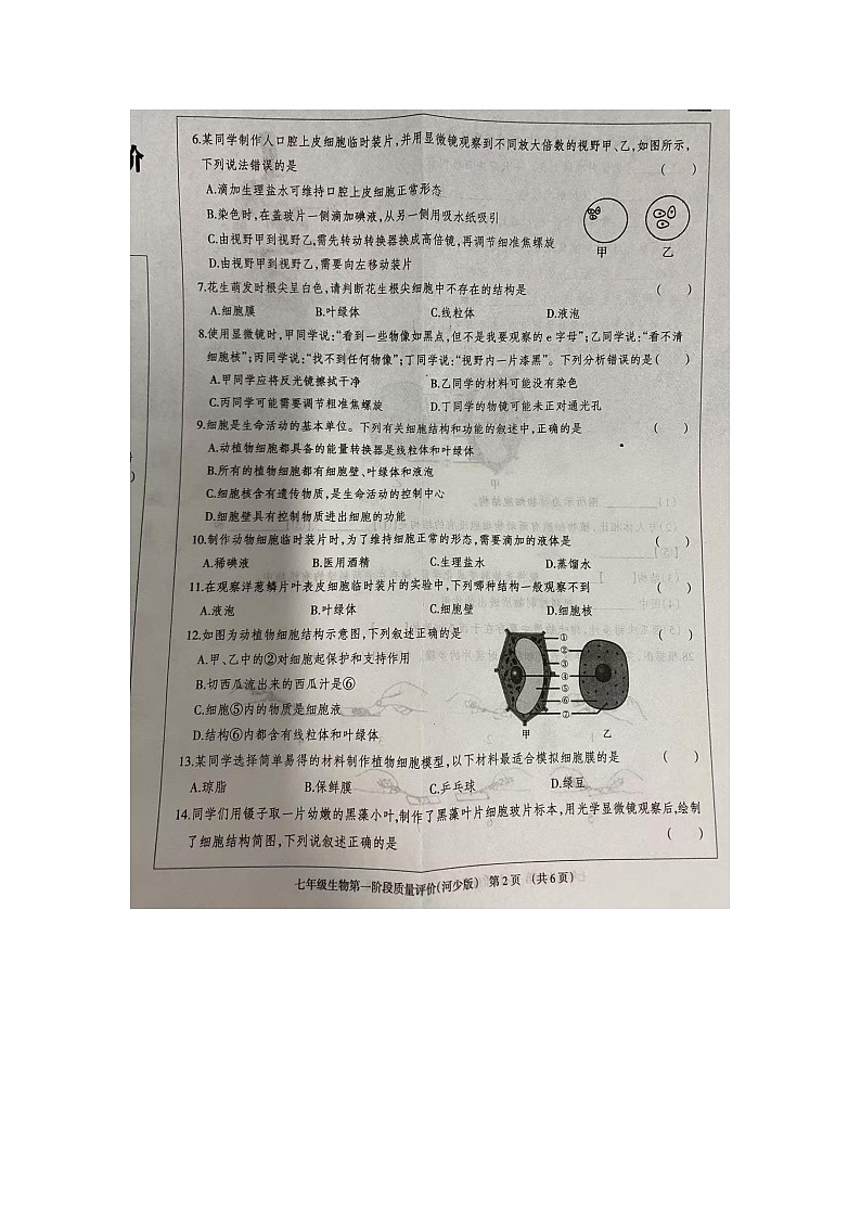 河北省沧州市东光县五校联考2024-2025学年七年级上学期10月月考生物试题第2页