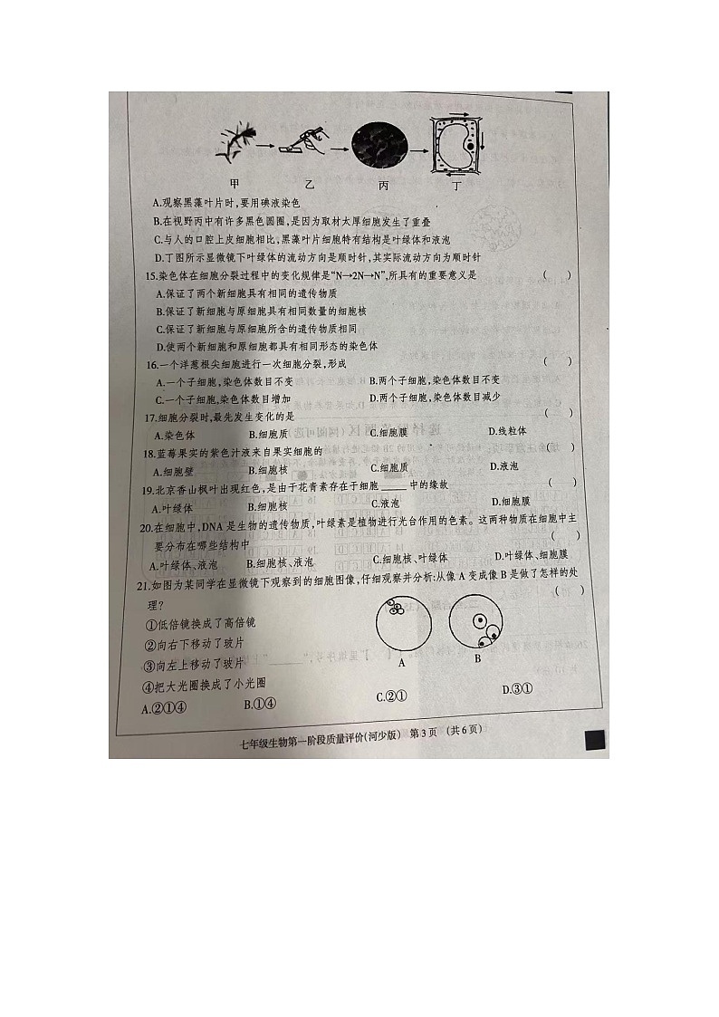 河北省沧州市东光县五校联考2024-2025学年七年级上学期10月月考生物试题第3页