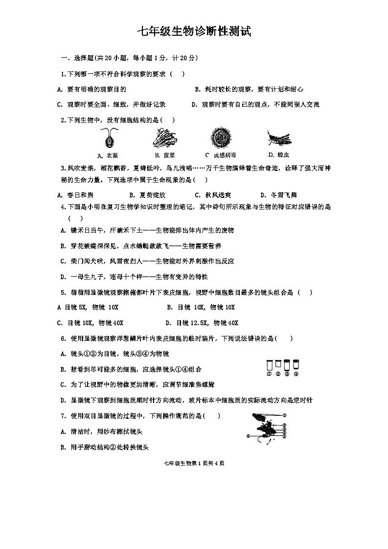 山东省临沂第十中学2024-2025学年七年级上学期10月月考生物试题第1页