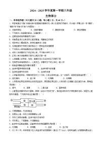 江苏省宿迁市沭阳县怀文中学2024-2025学年七年级上学期10月月考生物试题