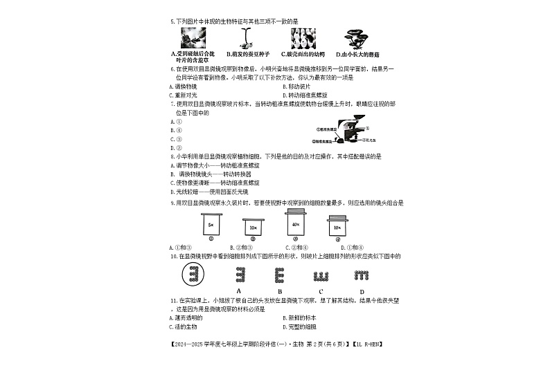 河南省南阳市方城县初中联考2024-2025学年七年级上学期10月月考生物试题第2页