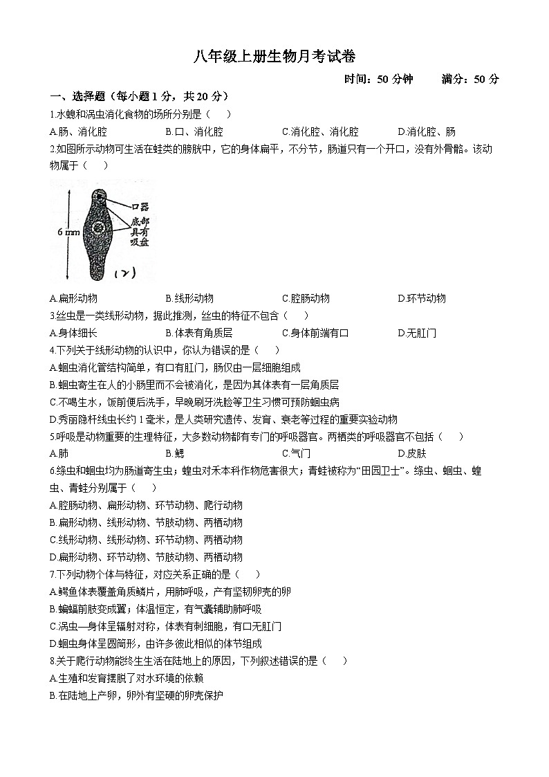 河南省信阳市淮滨县台头乡河东中学2024-2025学年八年级上学期10月月考生物试题(无答案)第1页