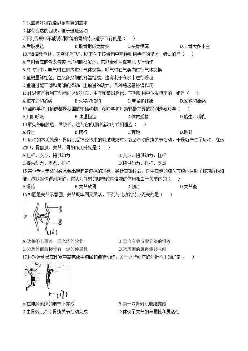 河南省信阳市淮滨县台头乡河东中学2024-2025学年八年级上学期10月月考生物试题(无答案)第2页