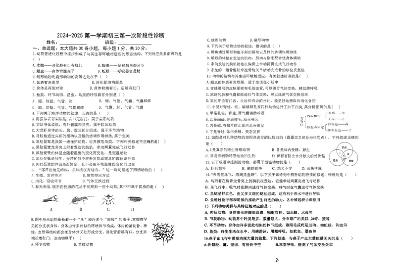 山东省淄博市张店区第一中学2024-2025学年九年级上学期10月份月考生物试卷第1页