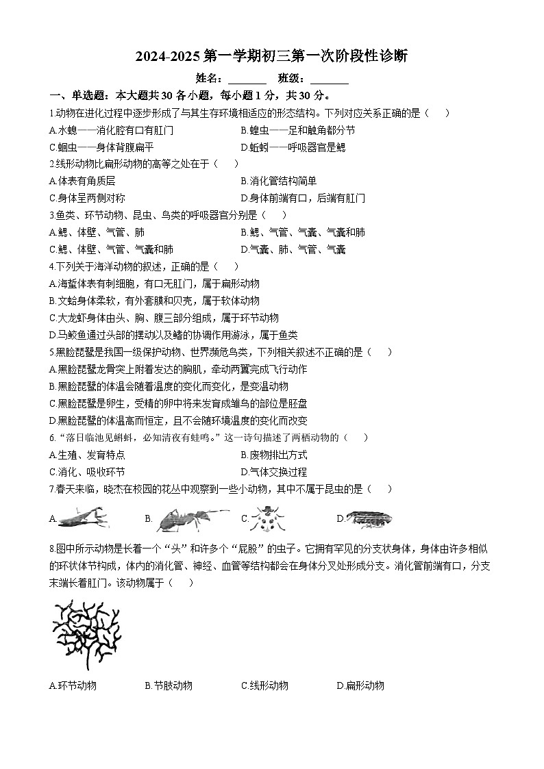山东省淄博市张店区第一中学2024-2025学年九年级上学期10月份月考生物试卷(无答案)第1页