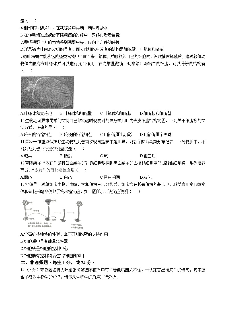 山东省临沂市费县探沂中学联考2024-2025学年七年级上学期第一次月考生物试题 (无答案)第2页