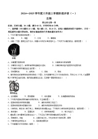 河北省邢台市襄都区邢台英华教育集团2024-2025学年八年级上学期10月份月考生物试卷(无答案)