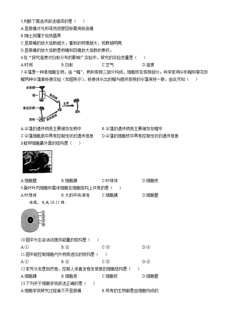 河南省南阳市方城县2024-2025学年七年级上学期第一次月考生物试题(无答案)第2页