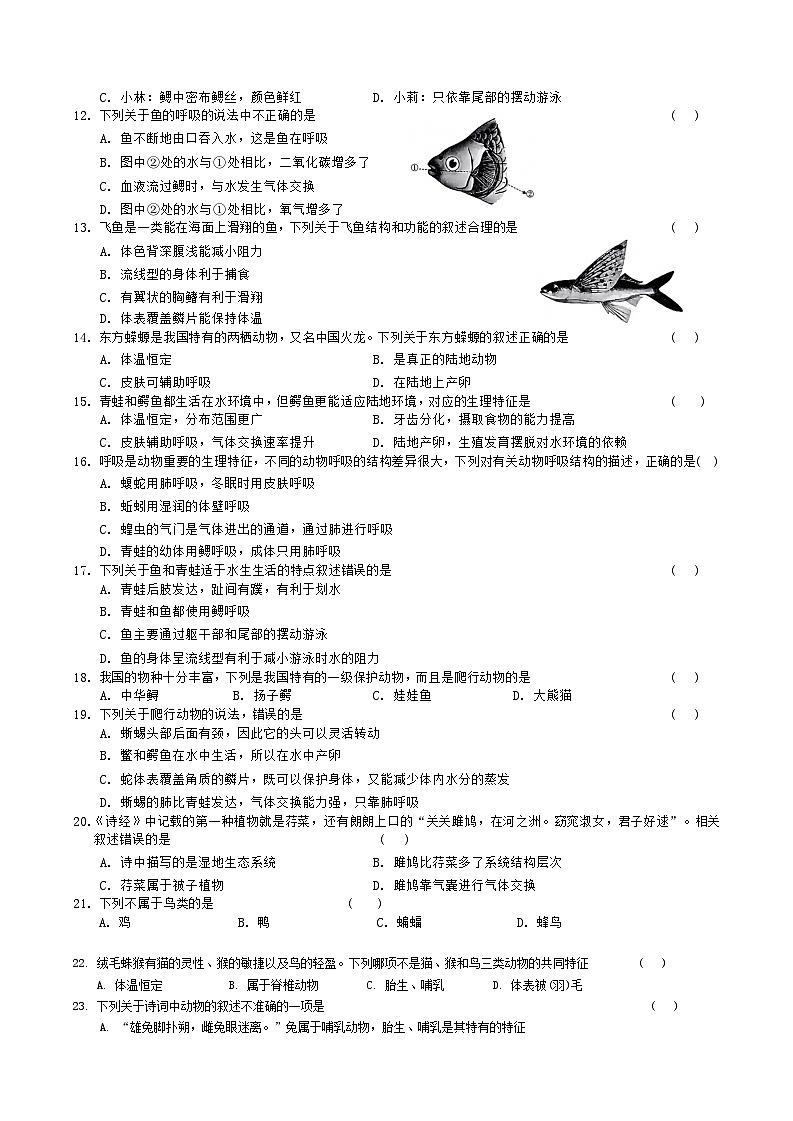 湖南省娄底市涟源市2024-2025学年八年级上学期10月月考生物试题第2页