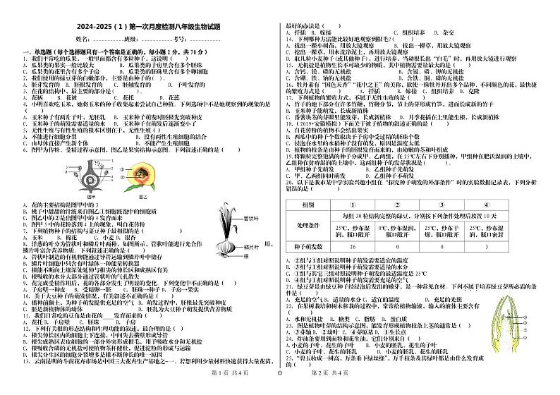 山东省济南市天桥区晏阳初中学2024-2025学年八年级上学期10月月考生物试题第1页