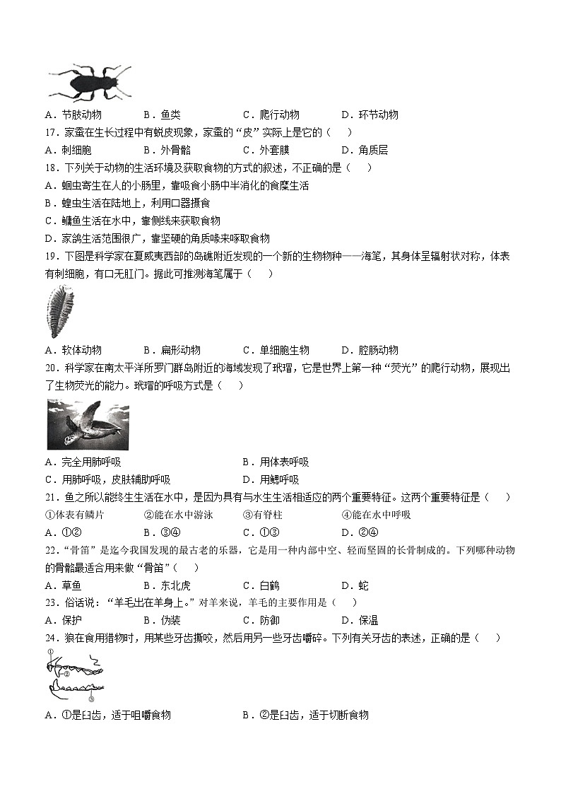 福建省三明市尤溪县多校2024-2025学年八年级上学期10月月考生物试题(无答案)第3页