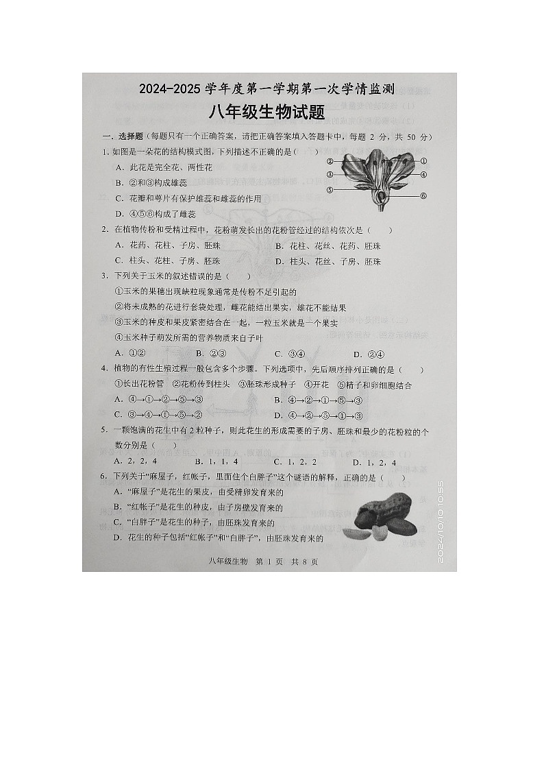 山东省济宁市金乡县2024-2025学年八年级上学期10月份月考生物试题第1页