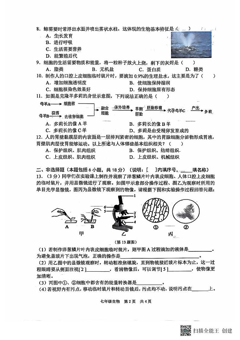 辽宁省大连市瓦房店市2024-2025学年七年级上学期10月月考生物试题02